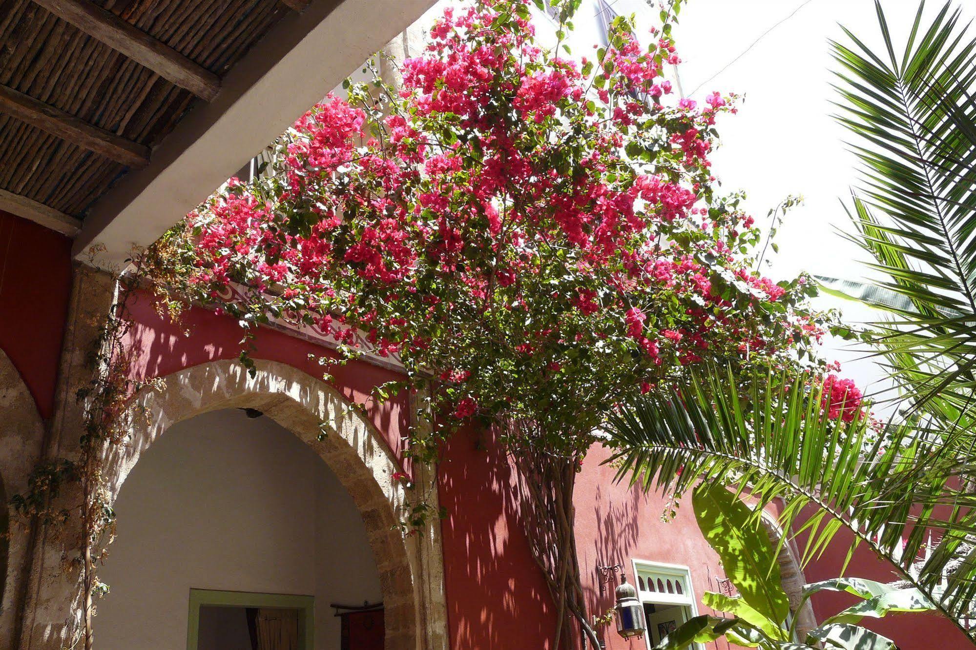 Dar Dayana Bed & Breakfast Essaouira Exterior photo